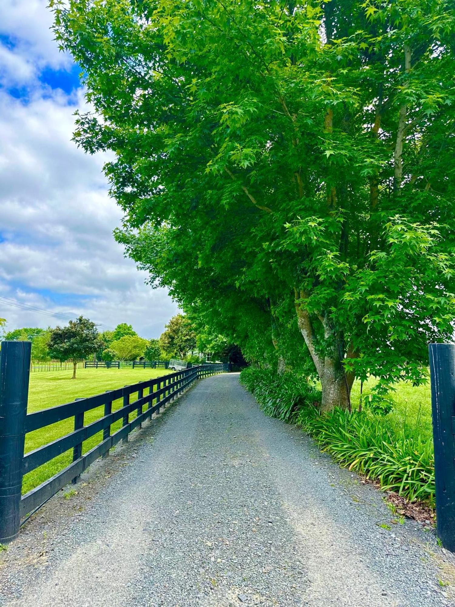 Matamata Country B&B Exteriér fotografie